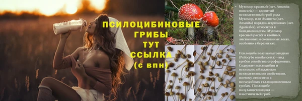 бошки Верхний Тагил