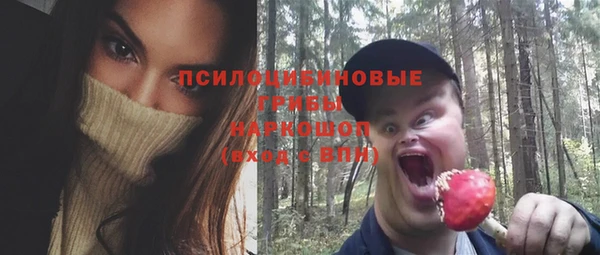 эйфоретик Верея