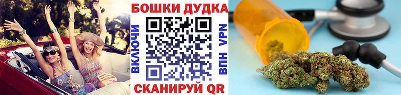 купить MEGA Канабис планчик Киселёвск